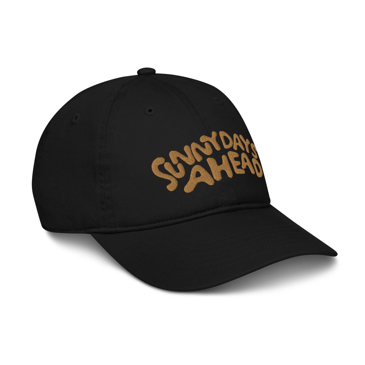 Sunny Days Ahead Organic Dad Hat