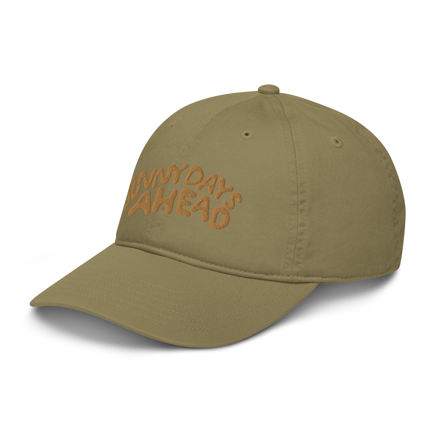 Sunny Days Ahead Organic Dad Hat