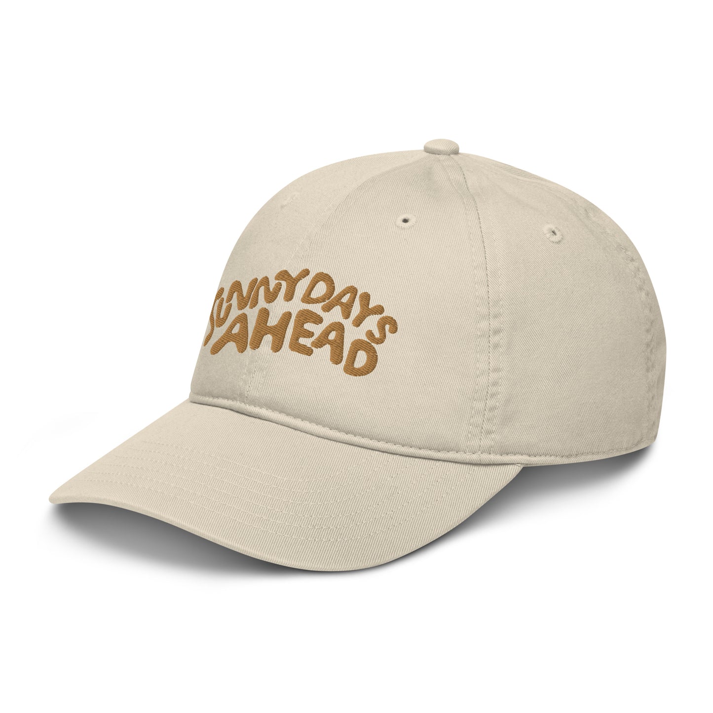 Sunny Days Ahead Organic Dad Hat